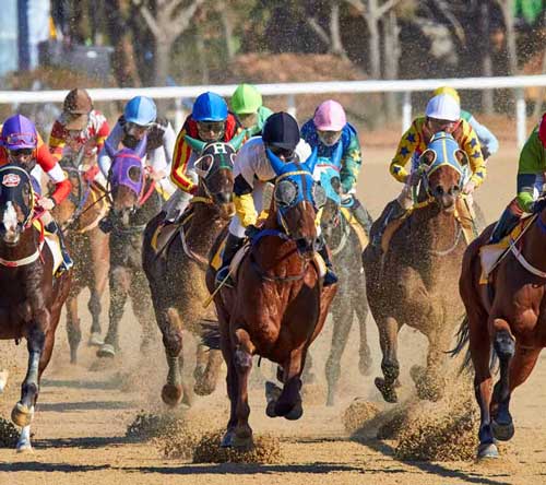 COACH HIRE for sport events like horse riding