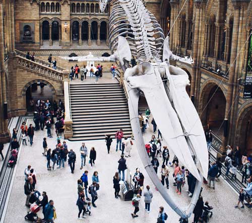 London attraction